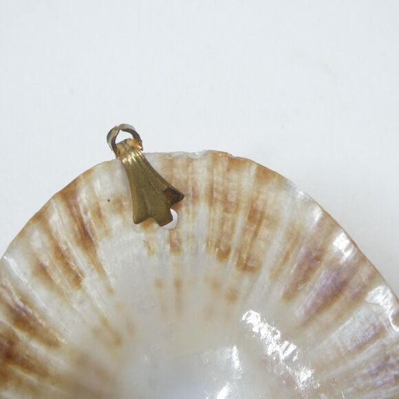 Limpet Shell Pendant Vintage 1 3/4" Seashell Natural - Picture 8 of 8